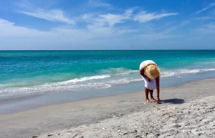 Manasota Key Beach: Explore the Charm