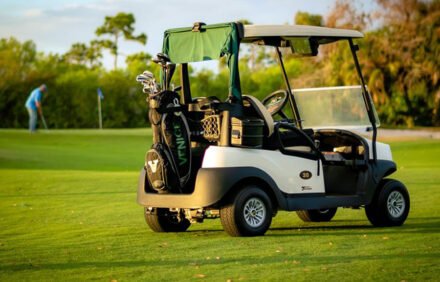 Golf at Myakka Pines Golf Club: Discover the Joy